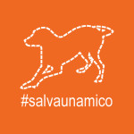 salvaunamico_400x400_arancio