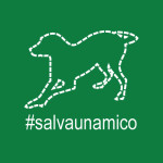 salvaunamico_400x400_verde