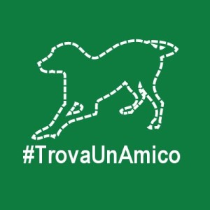 trovaunamico_400x400_verde