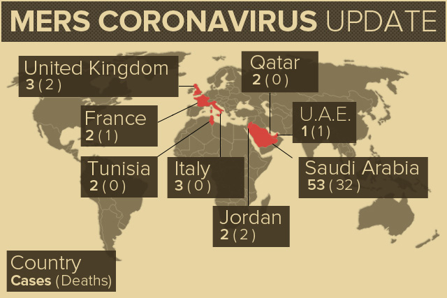 Mappa casi di MERS FINO al 2013